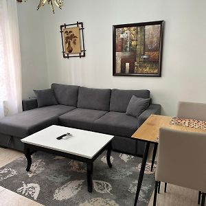 Appartement met een Slaapkamer